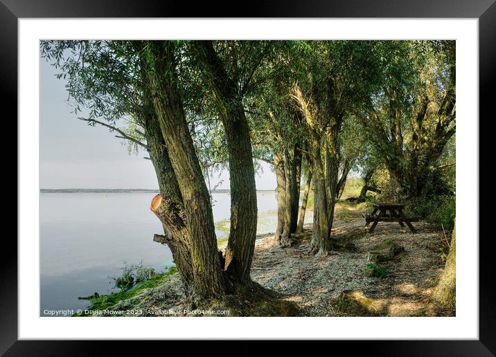 Grafham Water Framed Mounted Print by Diana Mower