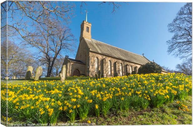 Spring view of daffodils and Holy Trinity church Canvas Print by Bryan Attewell