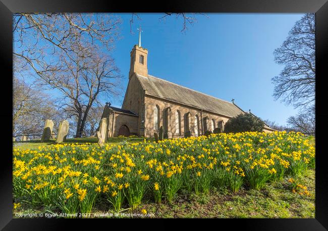 Spring view of daffodils and Holy Trinity church Framed Print by Bryan Attewell