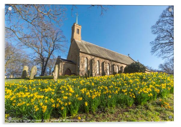 Spring view of daffodils and Holy Trinity church Acrylic by Bryan Attewell