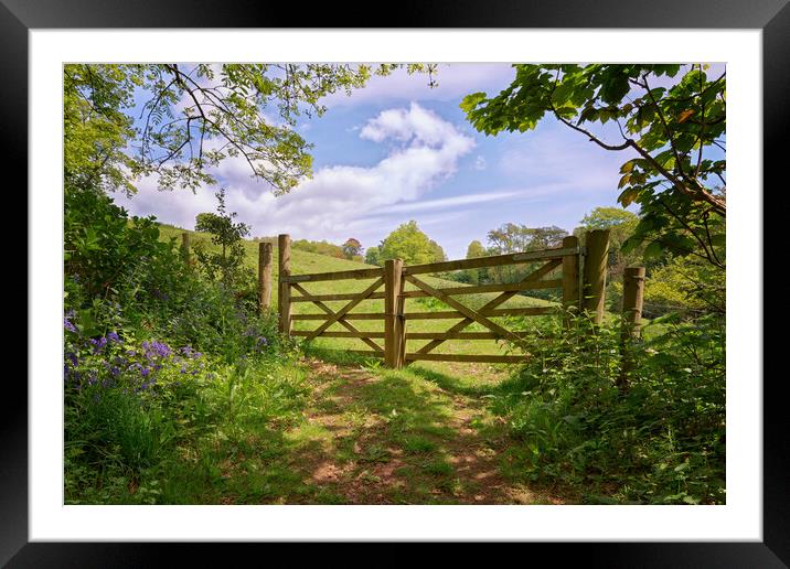 Gateway to a Devon Meadow Framed Mounted Print by John Gilham