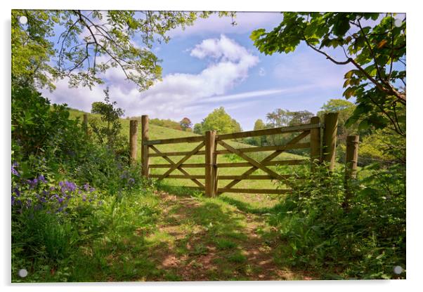 Gateway to a Devon Meadow Acrylic by John Gilham