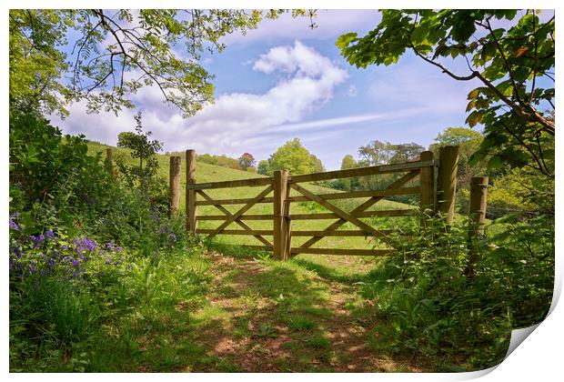 Gateway to a Devon Meadow Print by John Gilham