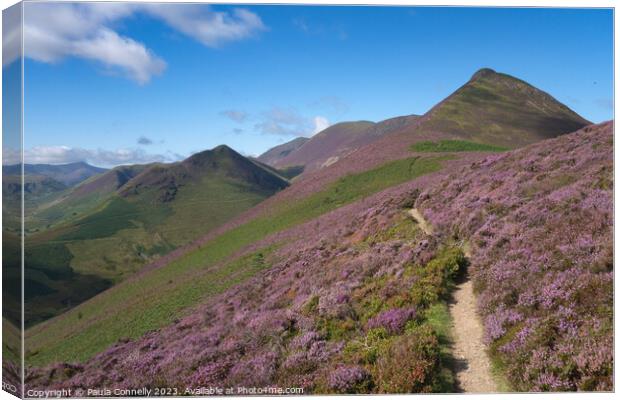 The Path to Causey Pike Canvas Print by Paula Connelly