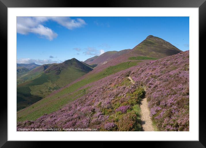 The Path to Causey Pike Framed Mounted Print by Paula Connelly