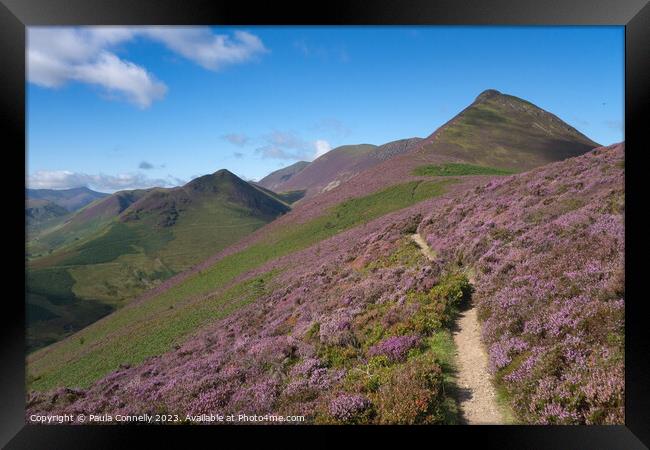 The Path to Causey Pike Framed Print by Paula Connelly