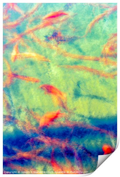 Koi Fish Abstract In Vertical Print by Joseph S Giacalone