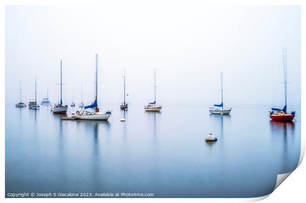 Resting On Ice Print by Joseph S Giacalone