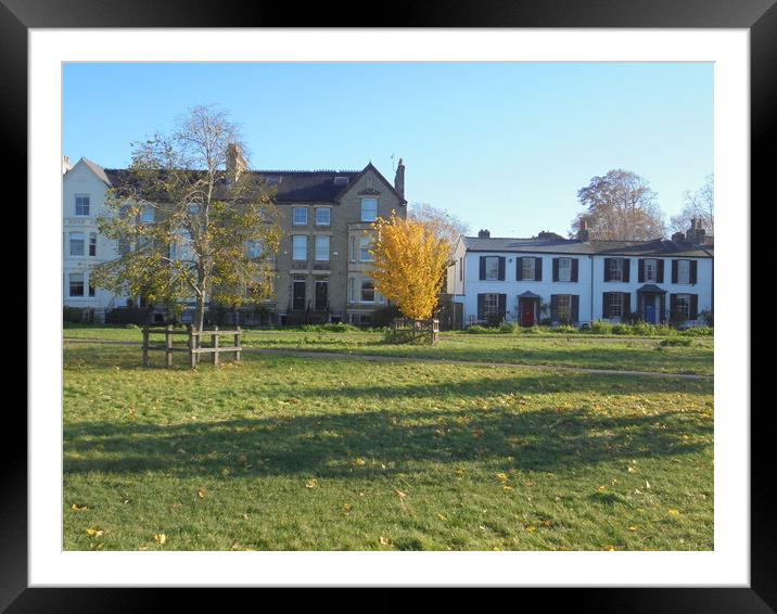 Tree on Midsummer Common Framed Mounted Print by Simon Hill