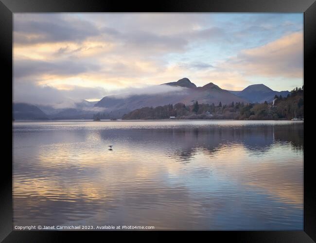 A Lone Gull at Derwentwater Framed Print by Janet Carmichael