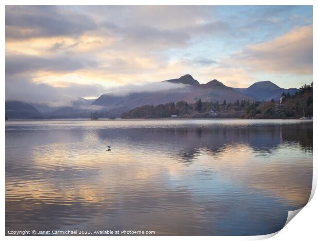 A Lone Gull at Derwentwater Print by Janet Carmichael