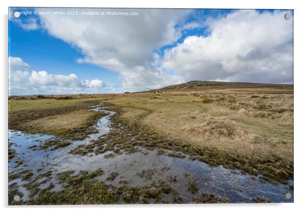 Rugged Dartmoor after the rains Acrylic by Kevin White