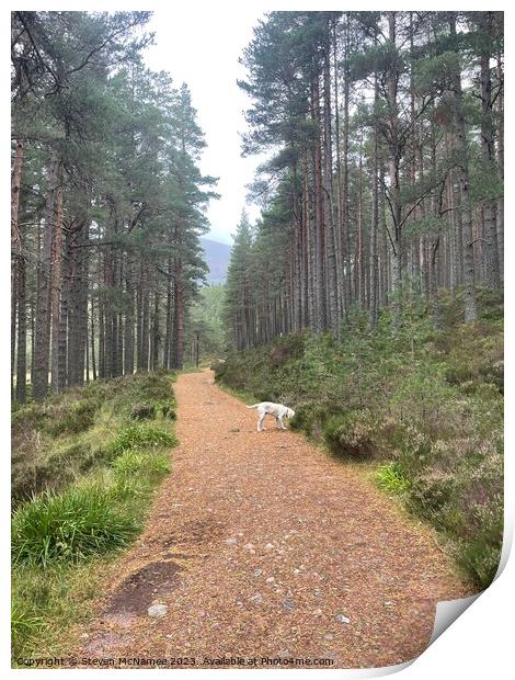 Outdoor road Print by Steven McNamee