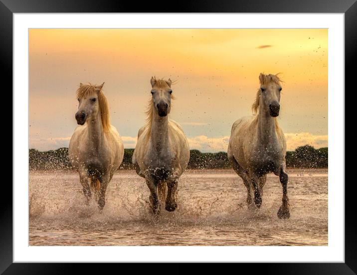 Sunset Trio Framed Mounted Print by Helkoryo Photography