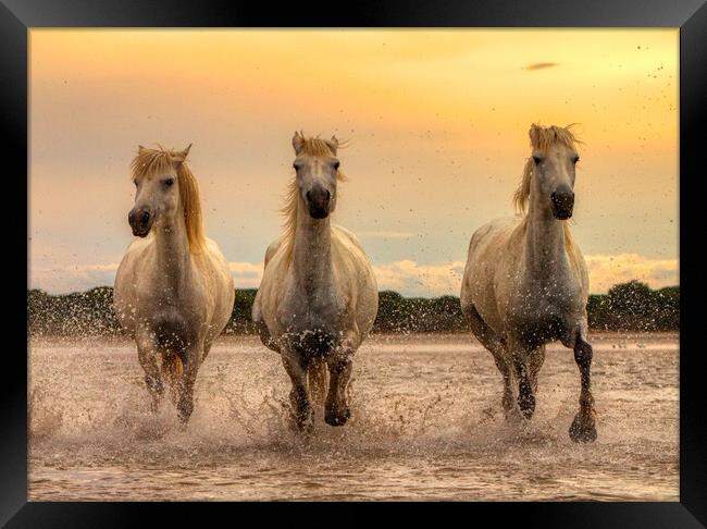 Sunset Trio Framed Print by Helkoryo Photography