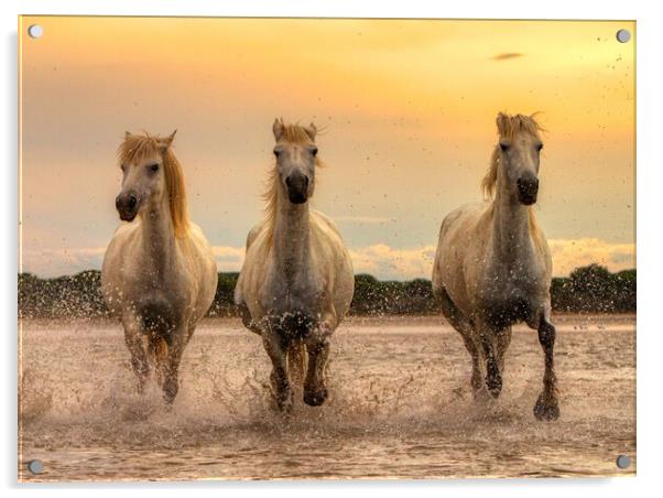 Sunset Trio Acrylic by Helkoryo Photography