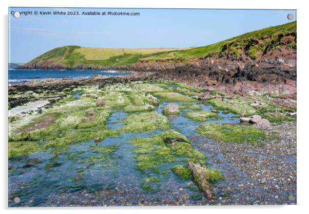 Mossy rocks on edge of Manorbier beach Pembrokeshire Acrylic by Kevin White