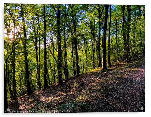 Woods Slope Acrylic by Gary Lanham