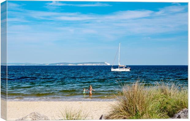 Seaside views - Isle of Wight Canvas Print by Lenny Carter