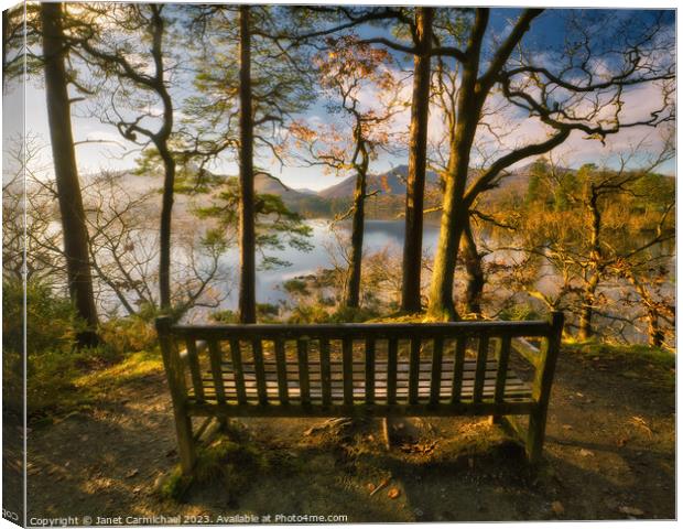 Surrounded by Nature - Friars Crag Bench Canvas Print by Janet Carmichael