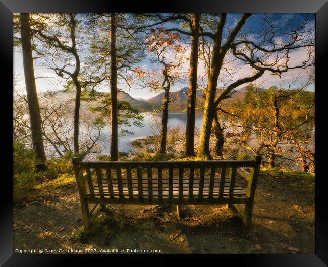 Surrounded by Nature - Friars Crag Bench Framed Print by Janet Carmichael
