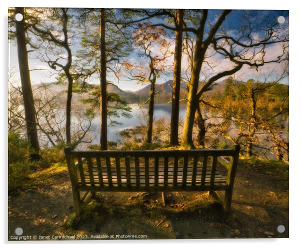 Surrounded by Nature - Friars Crag Bench Acrylic by Janet Carmichael