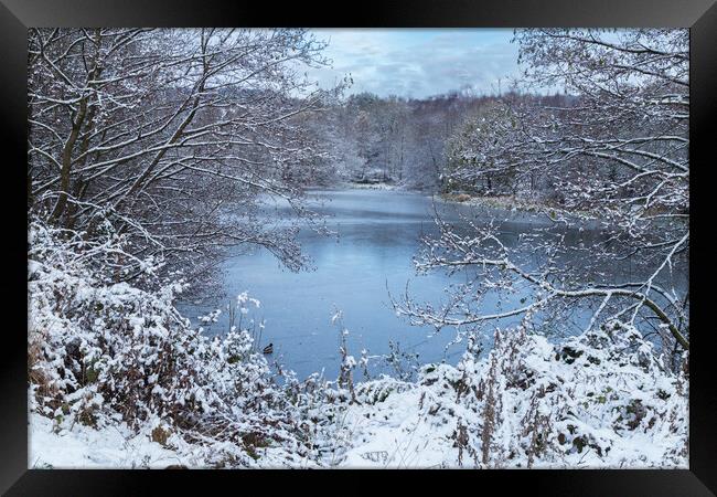 A winter scene in Yorkshire.  Framed Print by Ros Crosland