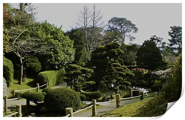 JAPANESE TEA GARDEN Print by radoslav rundic