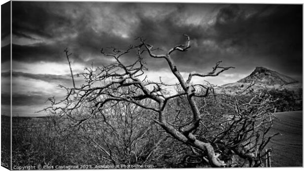 The Gnarled Tree - Roseberry Topping Canvas Print by Cass Castagnoli