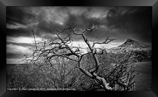 The Gnarled Tree - Roseberry Topping Framed Print by Cass Castagnoli