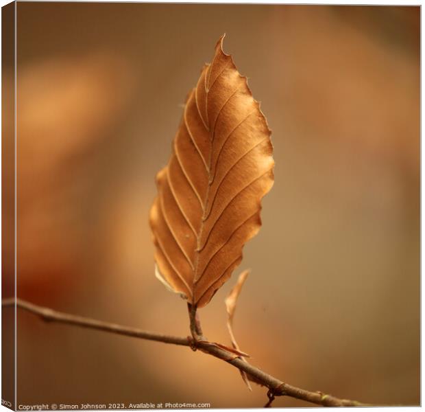 A close up of a bronze leaf Canvas Print by Simon Johnson
