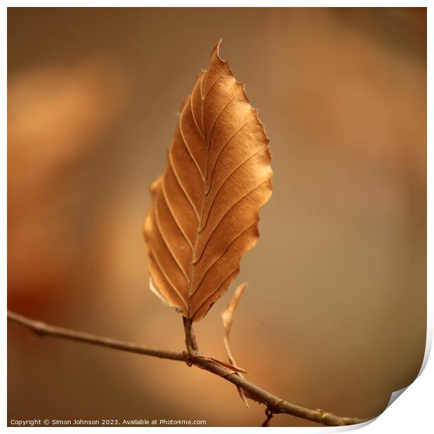 A close up of a bronze leaf Print by Simon Johnson