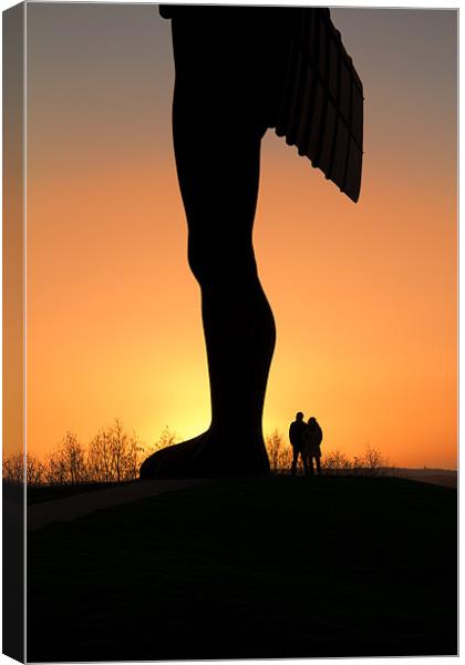 my angel Canvas Print by Northeast Images