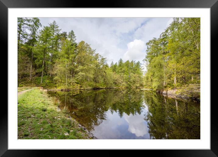 Low Dam in the Lake District Framed Mounted Print by Jason Wells