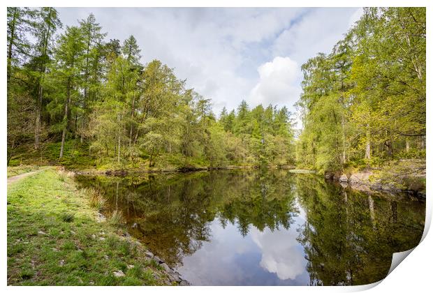 Low Dam in the Lake District Print by Jason Wells