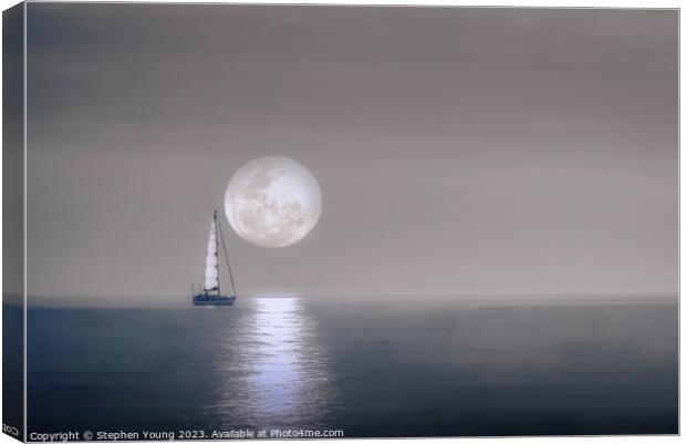Moonlight Shadow Canvas Print by Stephen Young