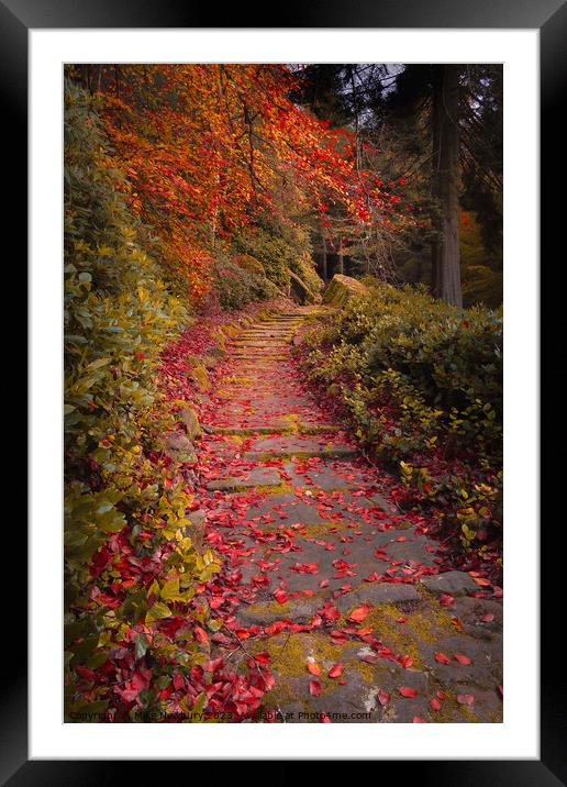 Cragside Autumn Steps Framed Mounted Print by Bear Newbury