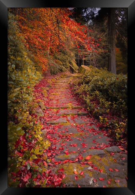 Cragside Autumn Steps Framed Print by Bear Newbury