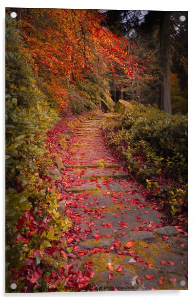 Cragside Autumn Steps Acrylic by Bear Newbury