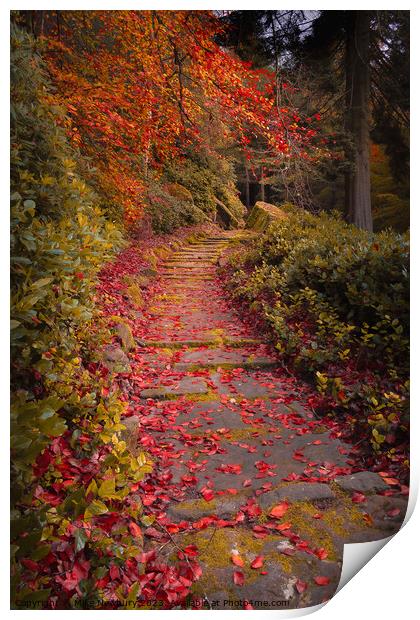 Cragside Autumn Steps Print by Bear Newbury