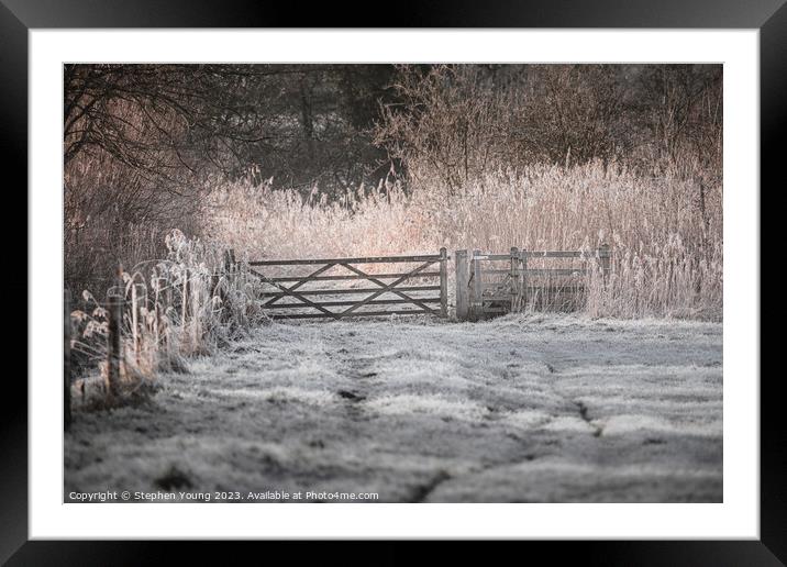 Winter Countryside Framed Mounted Print by Stephen Young