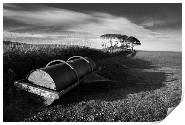 Crawton Field Roller Print by Dave Bowman