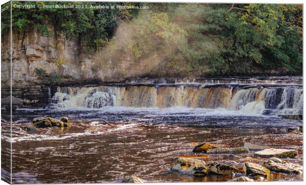 Richmond Falls on River Swale Swaledale Yorkshire Canvas Print by Pearl Bucknall