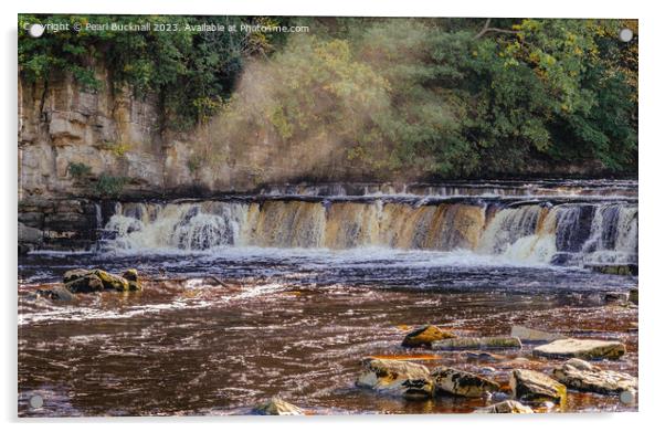Richmond Falls on River Swale Swaledale Yorkshire Acrylic by Pearl Bucknall