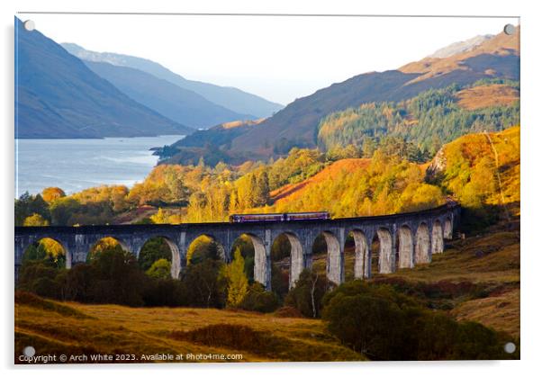  First Scotrail Diesel, Glenfinnan Viaduct, Lochab Acrylic by Arch White