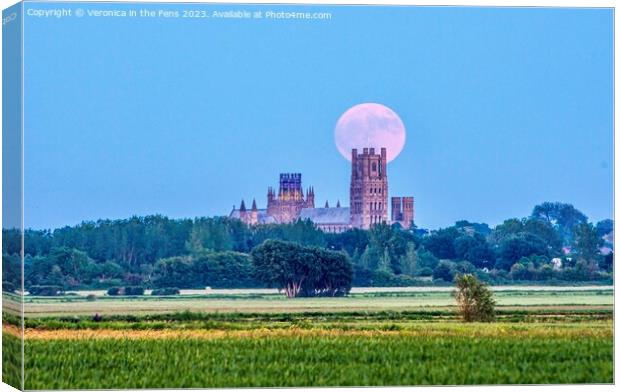 Ely Cathedral & the Strawberry Moon Canvas Print by Veronica in the Fens