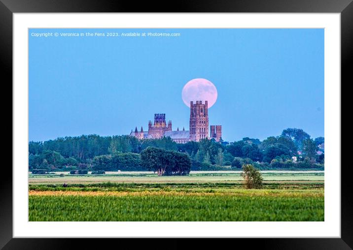 Ely Cathedral & the Strawberry Moon Framed Mounted Print by Veronica in the Fens