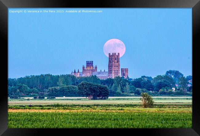 Ely Cathedral & the Strawberry Moon Framed Print by Veronica in the Fens