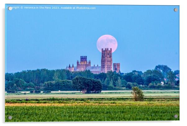 Ely Cathedral & the Strawberry Moon Acrylic by Veronica in the Fens