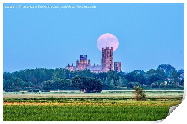 Ely Cathedral & the Strawberry Moon Print by Veronica in the Fens